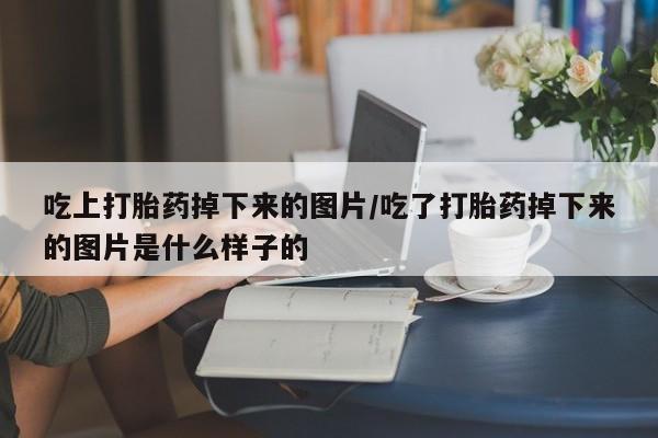 打胎药专卖微信吃上打胎药掉下来的图片/吃了打胎药掉下来的图片是什么样子的